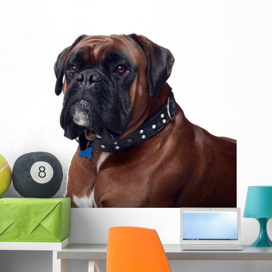 Boxer Wall Decal