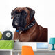 Boxer Wall Decal