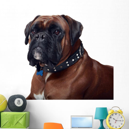 Boxer Wall Decal