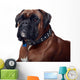 Boxer Wall Decal