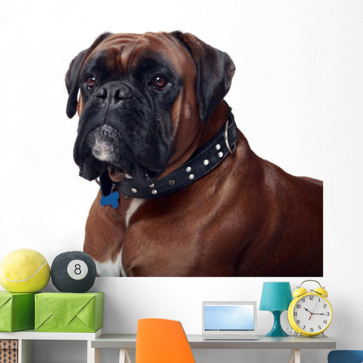 Boxer Wall Decal