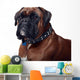 Boxer Wall Decal