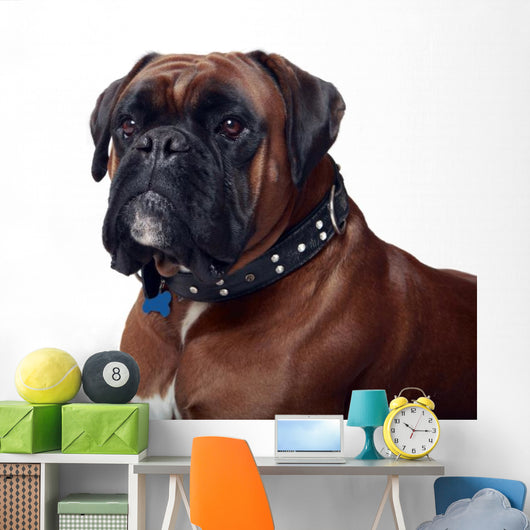 Boxer Wall Decal
