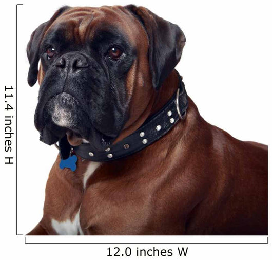 Boxer Wall Decal