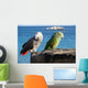 Parrots of Lanzarote Wall Mural