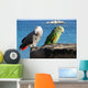Parrots of Lanzarote Wall Mural