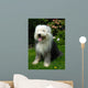 Old English Sheep Dog Wall Mural