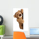 Teddy Bear behind White
