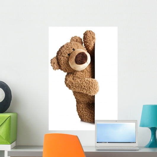 Teddy Bear behind White
