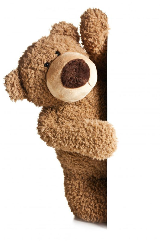Teddy Bear behind White