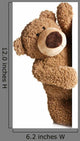 Teddy Bear behind White