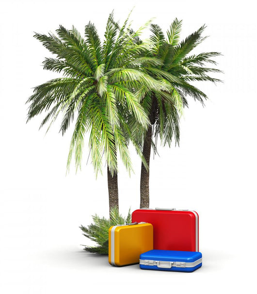 Travel Vacations and Tourism Wall Decal