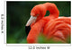 Flamingo Wall Mural