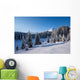 Winter Mountains