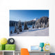 Winter Mountains