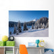 Winter Mountains