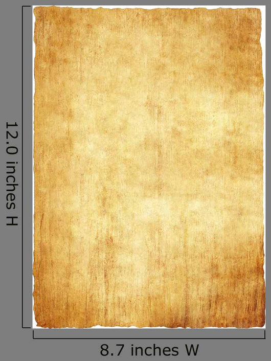 Old Papyrus Paper Texture – Wallmonkeys