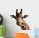 Giraffe Wall Decal