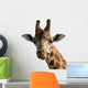 Giraffe Wall Decal