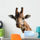 Giraffe Wall Decal