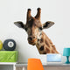 Giraffe Wall Decal