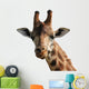 Giraffe Wall Decal