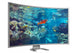 curved monitor on a white background Wall Decal