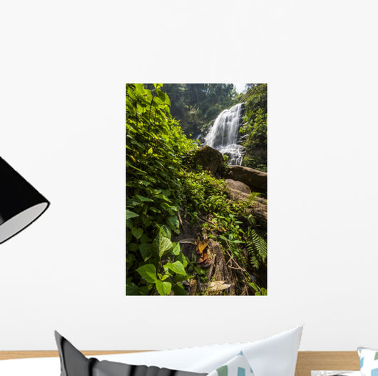 Water Fall Spring Season