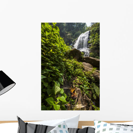 Water Fall Spring Season