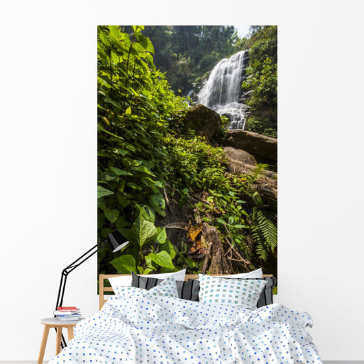 Water Fall Spring Season