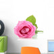 Pink Rose with Drops Wall Decal