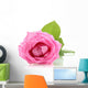 Pink Rose with Drops Wall Decal