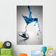 Cocktail Glass Splash