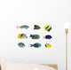 Tropical fish collection on white background Wall Decal