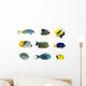 Tropical fish collection on white background Wall Decal