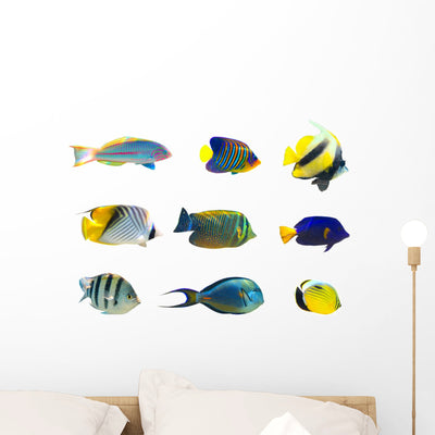 Tropical Fish Collection White Wall Decal shown on a wall