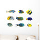 Tropical fish collection on white background Wall Decal
