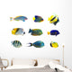 Tropical fish collection on white background Wall Decal