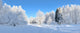 Winter Park