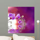 Purple Orchid with Reflection