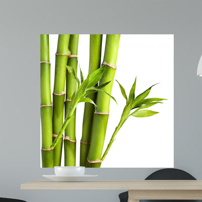 Bamboo and Bamboo Leaf shown on a wall