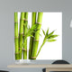 Bamboo and Bamboo Leaf