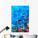 Coral and Fish Red