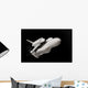 space ship Wall Mural