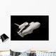 space ship Wall Mural