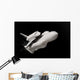 space ship Wall Mural