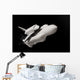 space ship Wall Mural