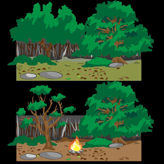 Forest Campfire Wall Mural