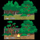 Forest Campfire Wall Mural