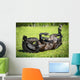 Black Horse Rolls Grass